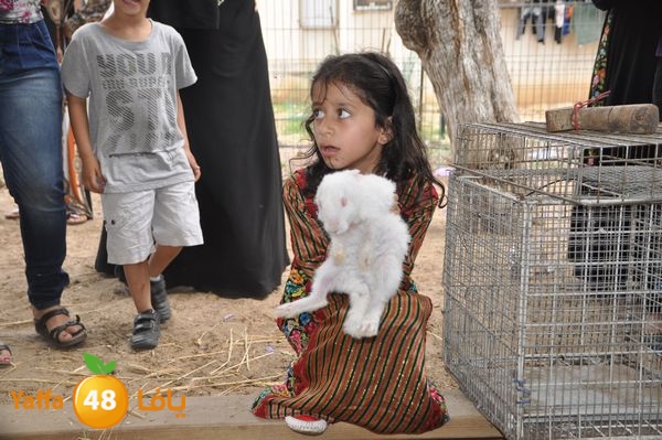 kidrawdaanimals510 (20).JPG